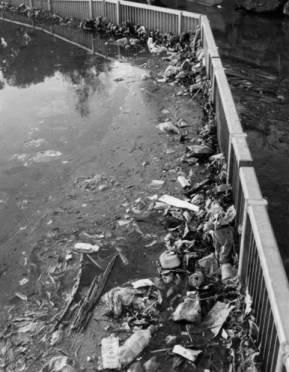 Polluted Stream