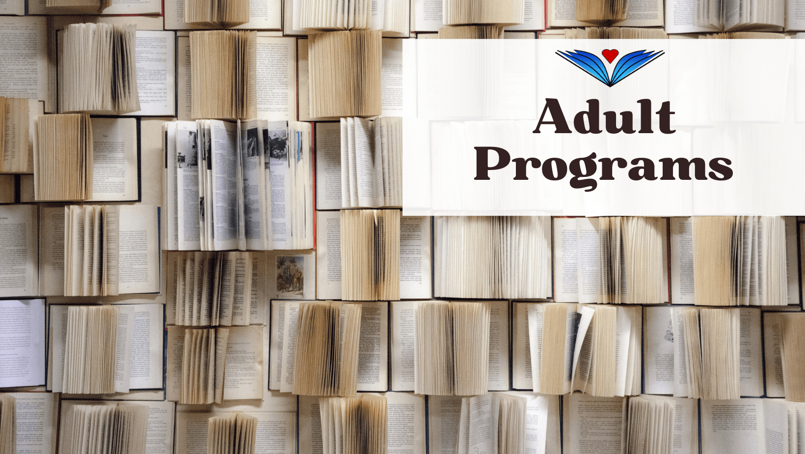 Classic Books Review Blogger Reading Library Facebook Cover (1)