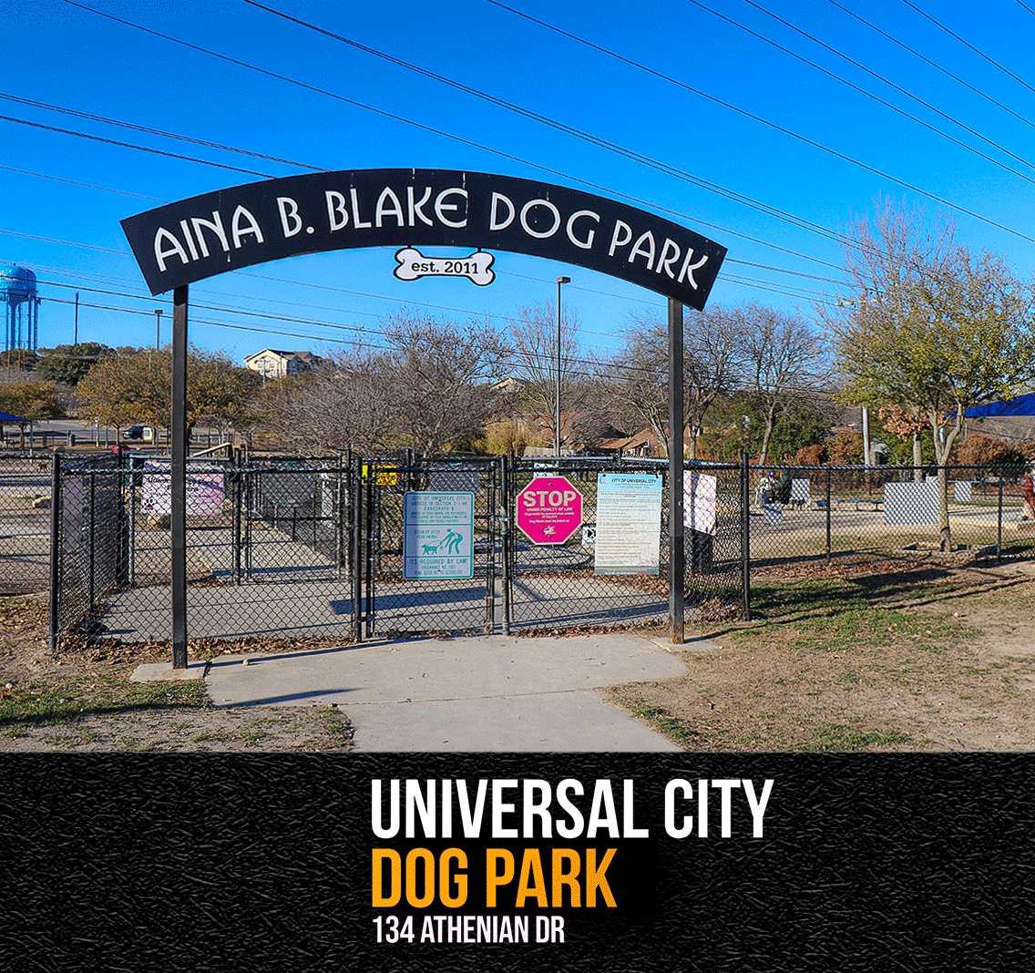 Dog Park